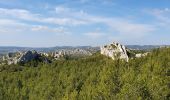 Randonnée Marche Mouriès - Les Castellas des Baux - Photo 8