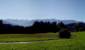 Tour Zu Fuß Blaichach - Rundweg Alpvielfalt - Photo 3