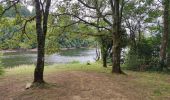 Tour Wandern Pont-de-Larn - les hauts de la môle variante - Photo 1