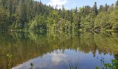 Trail Walking Vexaincourt - Le charme mystérieux du lac de la Maix - Photo 7