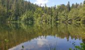 Tour Wandern Vexaincourt - Le charme mystérieux du lac de la Maix - Photo 7