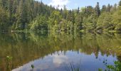 Randonnée Marche Vexaincourt - Le charme mystérieux du lac de la Maix - Photo 7