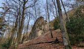 Tour Wandern Anhée - rando ornitho haut le wastia 01/04/2021 - Photo 7