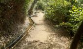 Trail Walking Laroque-des-Albères - laroque . canal d irrigation . puit de neige . A/R - Photo 10