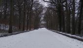 Trail Walking Tessenderlo - Averbode Bos en Heide 1 - Photo 7