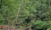 Randonnée Marche Thiézac - Les Gorges du Pas de Cère - Photo 15