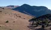 Trail Walking Châtillon-en-Diois - le sommet serre du beau puy - Photo 9