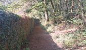 Trail Walking Rochefort-en-Terre - Rochefort en terre - Photo 7