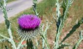 Tour Wandern Soisy-sur-École - 2020-06-01 Dannemois Courances Soisy 16 km - Photo 9