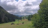 Randonnée Marche Septmoncel les Molunes - mo sentier des lapidaires - Photo 19