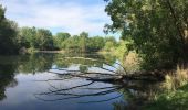 Tour Wandern Lignan-sur-Orb - Sur les rives de l'Orb - Pont de Tabarka - Pont de Cazouls - Photo 5