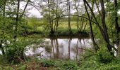 Randonnée Marche Rochefort - Jamblinne - Photo 1