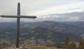 Tour Wandern Mollans-sur-Ouvèze - La montagne de Bluye par Saint-leger du Ventoux  - Photo 4