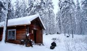 Trail On foot Suomussalmi - Kokalmuksen Kierros - Photo 4
