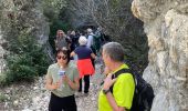 Trail Walking Cheval-Blanc - PF-Cheval-Blanc - La Roquette - Le Trou du Rat - MDu - Photo 8