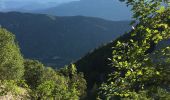 Trail Trail Beaumont-du-Ventoux - Ventoux-05072020 - Photo 3