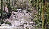 Trail Walking Villard-Saint-Sauveur - Pont de l'Isle - cascade queue de cheval  - Photo 7