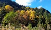 Trail Walking La Roche-sur-Foron - sur cou... 