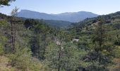 Trail Walking La Roche-des-Arnauds - Serigons - Rabou par petit Buëch  - Photo 3