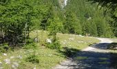 Trail Walking Névache - Col de la Vallée Étroite A/R - Photo 6