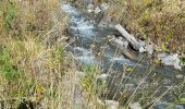 Trail Walking Embrun - torrent sainte Marthe  - Photo 7