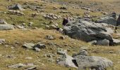 Excursión Senderismo Névache - Nevache (Laval) - Col des Muandes - Mont Thabor A/R - Photo 1