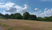 Tour Wandern Ans - derrière carrefour ans ... - Photo 3
