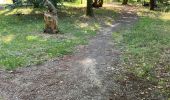 Percorso Marcia Brain-sur-Allonnes - BALADE BRUN SUR ALLONE DANS LA FORÃT  - Photo 4