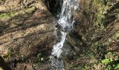 Tour Wandern Sprimont - Cascade de CHANXHE 11Km - Photo 12