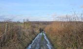 Tour Wandern Herve - A la découverte de Bolland 🥾 - Photo 1