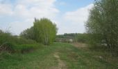 Trail On foot Dransfeld - Rundwanderweg Dransfeld 16 - Photo 4