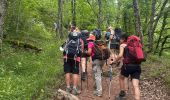 Tocht  Saint-Côme-d'Olt - Saint-Jacques, 2024, étape trois - Photo 4