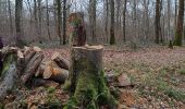 Randonnée Marche Vauchassis - Balade en forêt - Photo 6