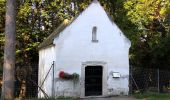 Randonnée A pied Zagersdorf/Cogrštof - Siedlerweg der Poljanci - Photo 4