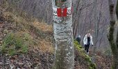 Trail On foot Crespadoro - Campodalbero e le sue Contra - Photo 1