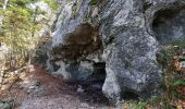 Trail Walking Aiguebelette-le-Lac - Belvédère du Rocher du Corbeau - Photo 3