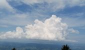 Tocht Stappen Autrans-Méaudre en Vercors - bec d'orient 2020 - Photo 3