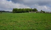 Tour Wandern Cheylard-l'Évêque - gr 70 stephenson sagne rousse-> cheylard l'évêque  - Photo 3