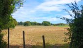 Trail Walking Esneux - mery . hayen . hautgne . betgne . fontain . avionpuits . mery - Photo 4