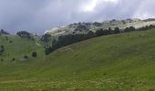 Trail Walking Châtillon-en-Diois - la Montagnette par le Grand Pas - Photo 1