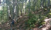 Trail Walking Bezins-Garraux - pic du gar - Photo 3