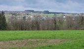 Trail Walking Vresse-sur-Semois - Orchimont 250423 - Photo 5