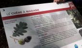Tour Wandern Oissel - Oissel gare vers le catelier - Photo 2