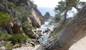 Trail Walking Mont-ras - Boucle mer & montagne - Photo 5