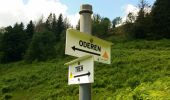 Trail Walking Oderen - trek alsacien (1ère étape) - Photo 6