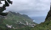 Tour Wandern Santa Cruz de Tenerife - 20230128 boucle Tâcheron - Amalciga  - Photo 11