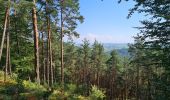 Trail Walking Rothbach - Lichtenberg - Photo 18