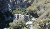 Tour Kanufahren - Kajakfahren Almuñécar - Cuevas Piratas y de Las Palomas - Photo 1