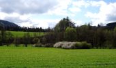 Tour Zu Fuß Eslohe - Wenholthausen Rundweg W1 - Photo 1