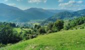 Randonnée Marche Oderen - TREK ALSACIEN (boucle, la meute) - Photo 9